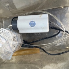 水槽 虫かご たくさん ライト 昆虫ゼリー ろ過装置？付きの画像