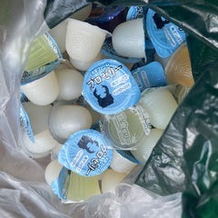 水槽 虫かご たくさん ライト 昆虫ゼリー ろ過装置？付きの画像