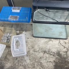 水槽 虫かご たくさん ライト 昆虫ゼリー ろ過装置？付きの画像