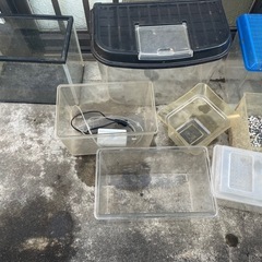 水槽 虫かご たくさん ライト 昆虫ゼリー ろ過装置？付きの画像