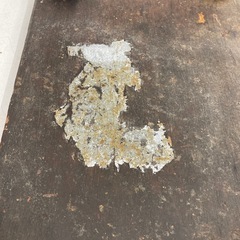 【ジモティー割引で最大15％OFF⭐️】製麺機の画像