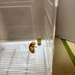 鳥かご･モモンガ アクリルケージの画像