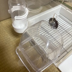 鳥かご･モモンガ アクリルケージの画像