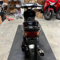 ホンダ ライブDIOの画像