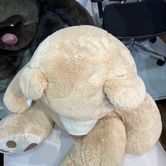 ぬいぐるみ くまの画像