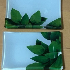 皿2枚の画像