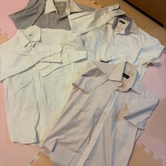 紳士　カッターシャツセットの画像