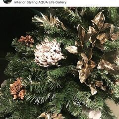 🎄merrychristmas🌟大きなもみの木 1.8M🌟winterInterior🎄の画像