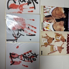 相撲バスタオル、タオルの画像