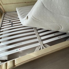 イタリア製　ワイドキング　サラシリーズ　アイボリー　Dorsalウッドスプリングの画像