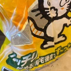 猫　砂　トイレ　ペット　動物の画像