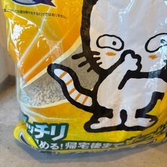 猫　砂　トイレ　ペット　動物の画像