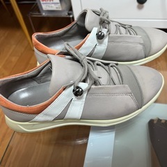 グレー ローカット スニーカーの画像