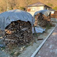 広葉樹割薪　軽トラ一杯10,000円　11月24日（月・祝）のみの画像