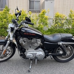 ハーレーxl883lスーパーローの画像