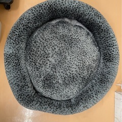 犬用ベッド＆スリングの画像