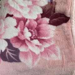 毛布（2枚セット）の画像