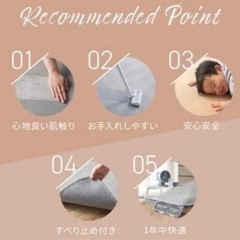 ラグ２枚の画像