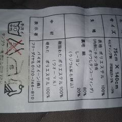 ★話中★YOSA カーリスマット★の画像