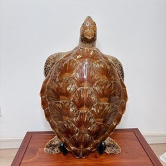 カメ 剥製 置物 インテリア 壁掛け アンティーク 海亀　縁起物 亀 オブジェの画像