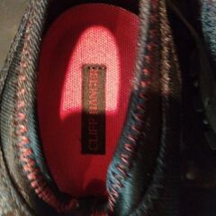 トレラン用？　スニーカー　クリフハンガー　25センチの画像