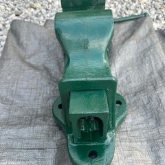 バイス100の画像