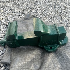 バイス100の画像