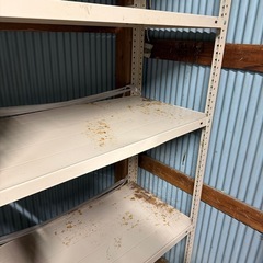 t棚　鉄　棚の画像