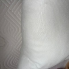 ハグモッチ補充綿の画像