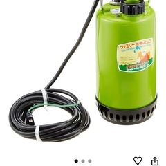 寺田制作ファミリー水中ポンプの画像