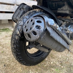 ☆ ★ ディオ ★ ☆の画像