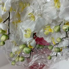 未使用 胡蝶蘭 造花 インテリア オブジェ 置物 お祝い イベント 記念品 幅30cm×奥行45cm×高さ75cmの画像