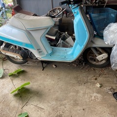 クレージュタクト水色の画像