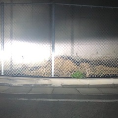 HID屋 H4 LED ヘッドライト Hi/Lo の画像