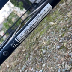 エブリイバン　キャリアの画像