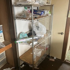 引き取り可能な方募集しております！の画像