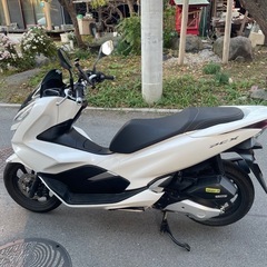 ホンダ PCX jf81 ワンオーナー、走行4165kmの画像