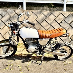 エイプ100 キャブ車　MT車の画像