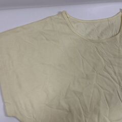 未使用 DALUC ダルク シャツ クリーム色 無地 サイズL・M 11枚セット 綿100% の画像