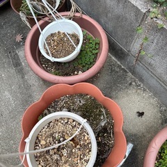 植木鉢と土の画像