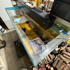 引き取り限定！超激安特注150cmアクリル水槽早いもの勝ち‼️の画像