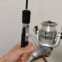 釣竿　DAY SPINⅡ DYS600の画像