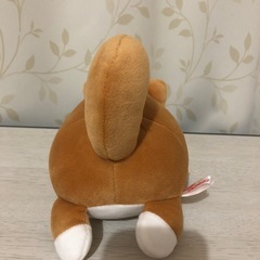 水族館1000円くじ⭐︎もちもちまめしばの画像