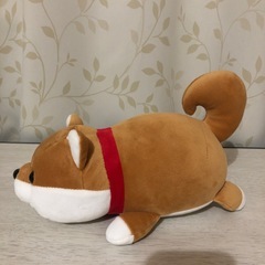 水族館1000円くじ⭐︎もちもちまめしばの画像