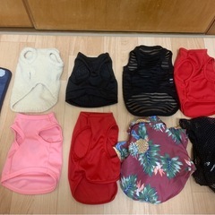 子犬用　服の画像