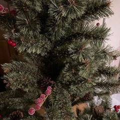 ニコアンドツリー150
の画像