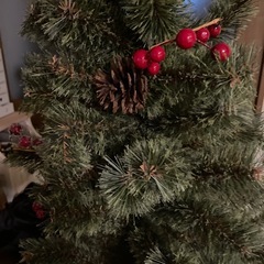 ニコアンドツリー150
の画像