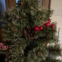 ニコアンドツリー150
の画像