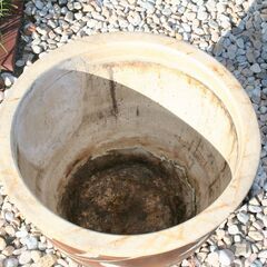 　お取り引き中　陶器　睡蓮鉢　メダカ・金魚などに・・・の画像