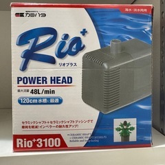 大型水槽
の画像